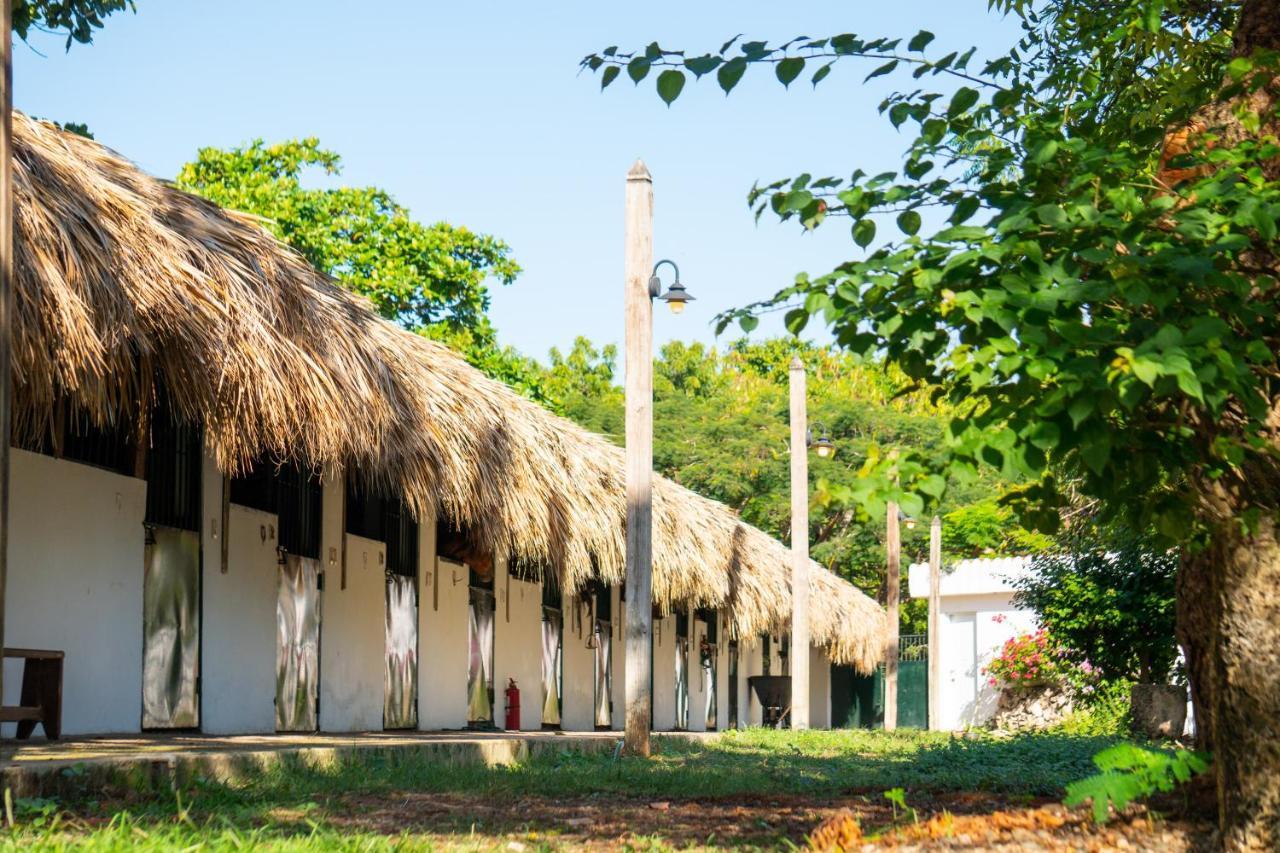 Hotel Casa Hemingway خوان دوليو المظهر الخارجي الصورة