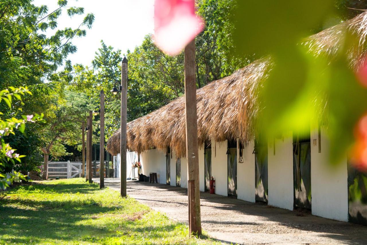 Hotel Casa Hemingway خوان دوليو المظهر الخارجي الصورة